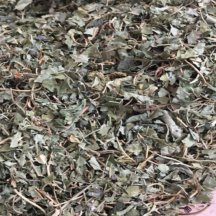 Wholesale bulk Japanese Catnip cat toy dried leaf Organic Actinidia polygama Matatabi Silvervine leaves