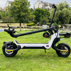 EU USA Ultra Long Range Adult Folding Electric Scooter 10 Inch Tires New Design Powerful Electric Scooter PU Suspension 800W