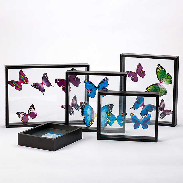 Hot Sale custom-made MDF Double glass Plant Insect butterfly specimen float frame photo picture frame for home decoration