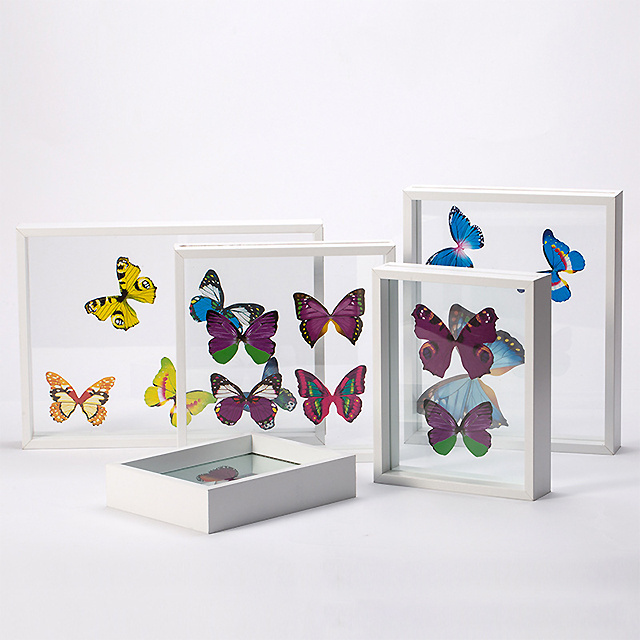 Hot Sale custom-made MDF Double glass Plant Insect butterfly specimen float frame photo picture frame for home decoration