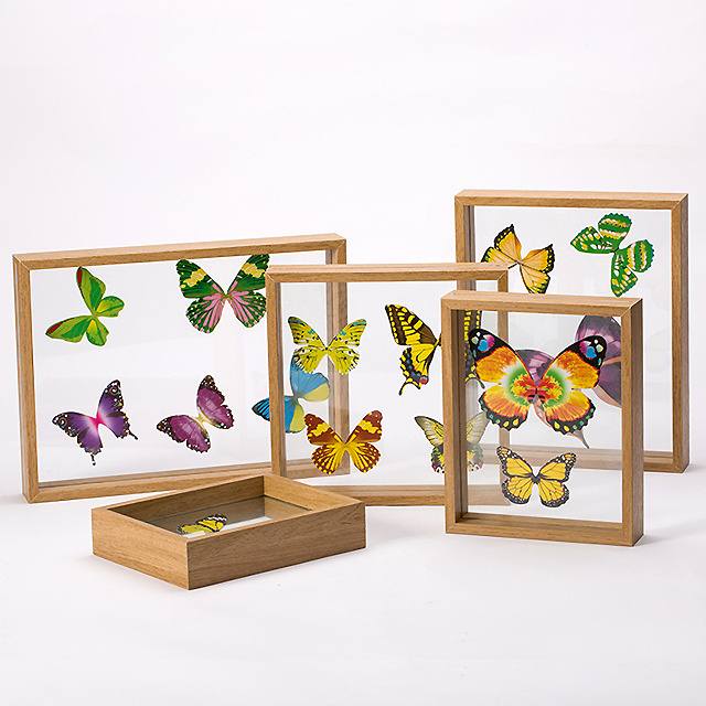 Hot Sale custom-made MDF Double glass Plant Insect butterfly specimen float frame photo picture frame for home decoration