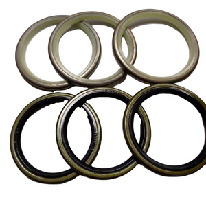 Source manufacturer beige standard DLI type iron shell dust seal supports production according to drawings and samples