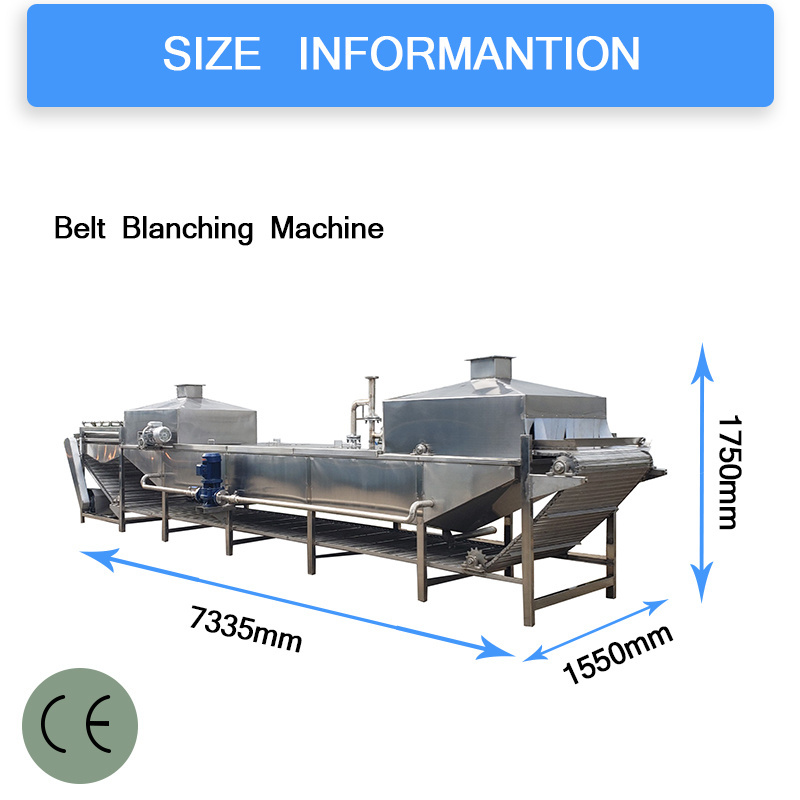 Industrial Vegetable blanching machine carrot cabbage blanching disinfection Cabbage Bubble Washing and cooking machine