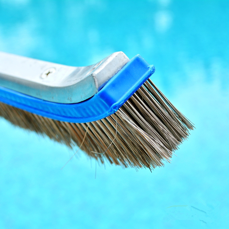 Stainless steel Pool brush 18