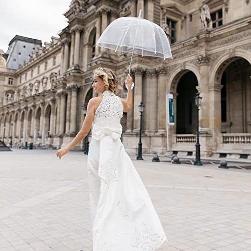 Clear Stick Umbrella - Big Dome Birdcage - windproof