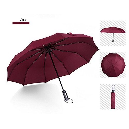 10 Rib 23Inch Reverse Automatic 3 Folding Umbrella With Silver Strip windproof Storm Umbrella with Waterproof