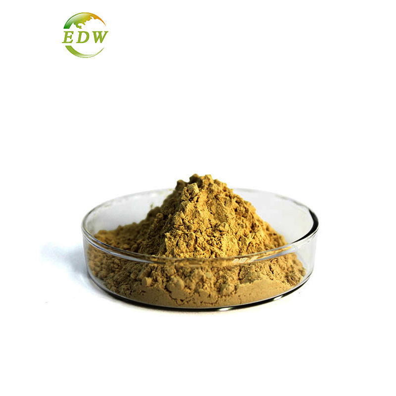 Factory Supply Good Price Lemon Balm  Melissa Officinalis Leaf Extract Powder 5% Rosmarinic Acid