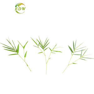 Plant Extract Bamboo Leaf  Extract Powder 70% Silica Bamboo Leaf Extract