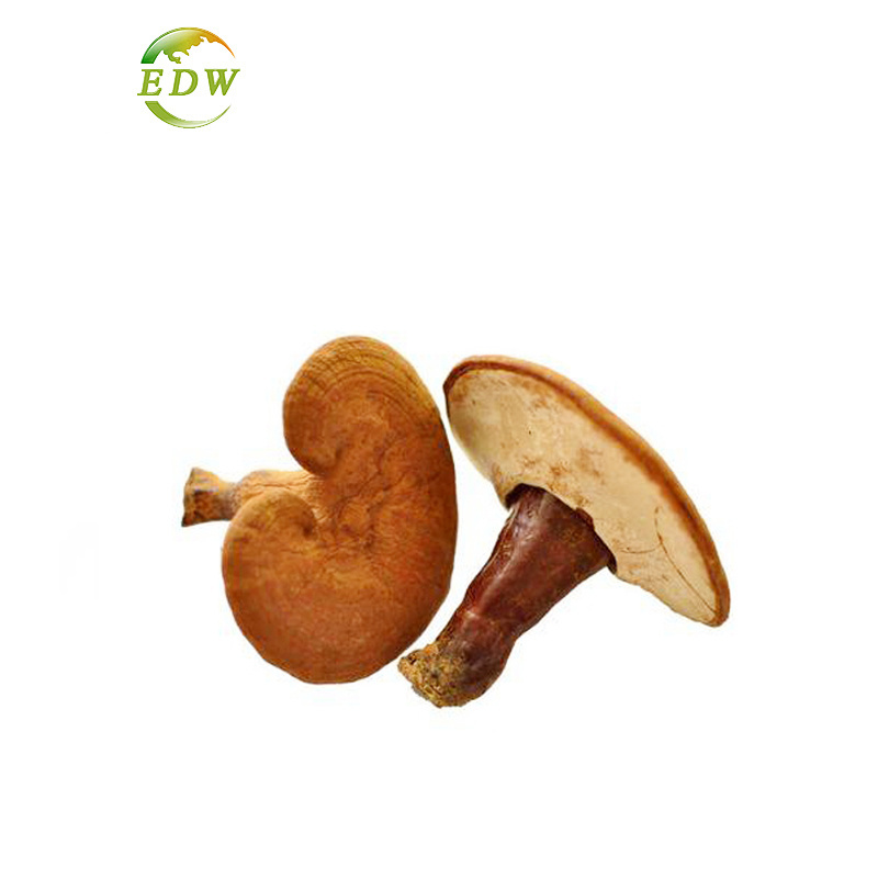 Factory Supply Polysaccharide 2% Triterpene Fresh Ganoderma lucidum Extract 30% Polysaccharide Reishi Mushroom Extract