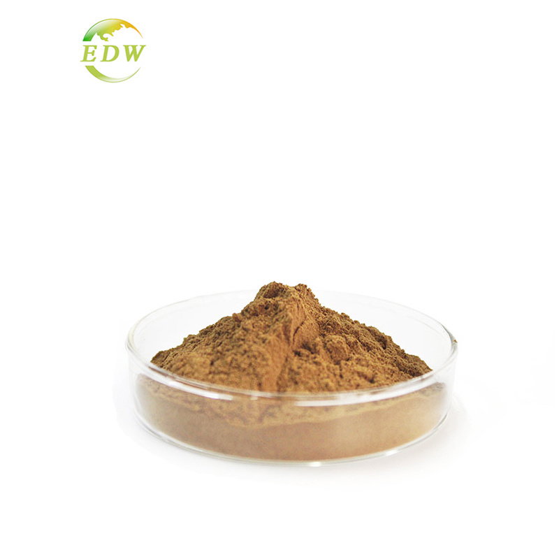 High Quality Horse Chestnut Extract Aesculus Hippocastanum Seed Extract