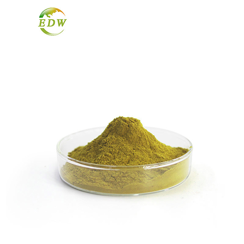 Factory Supply Green Coffee Bean Extract Powder Chlorogenic Acid Green Coffee Bean Extract