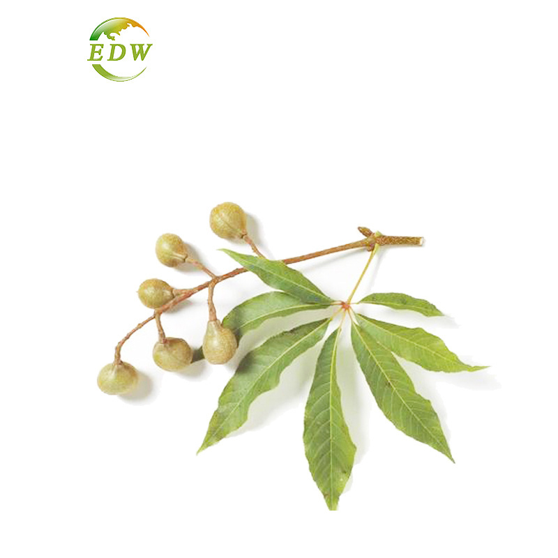 High Quality Horse Chestnut Extract Aesculus Hippocastanum Seed Extract