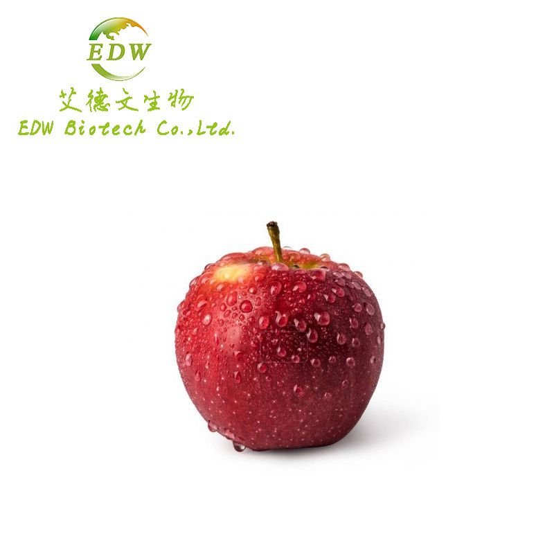 Free Sample Food Grade Dietary Fiber Juice Drink Green Apple Fruit Extract Powder