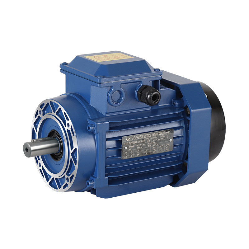 YE3 IE3 3KW-2-pole 4HP 50HZ 380V Universal Three-phase Asynchronous Electric Traction Motor