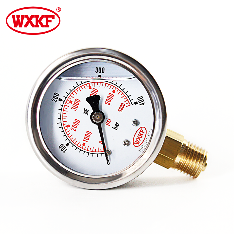 60mm Stainless Steel Hydraulic Oil Pressure Gauge