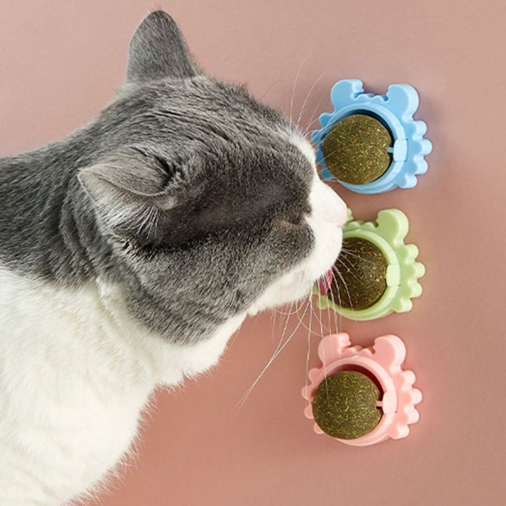 Pet Stuff Healthy Cat Catnip Toys Ball Candy Licking Snacks Catnip Snack Nutrition Energy Ball Kitten Cat Toy Cat Supplies