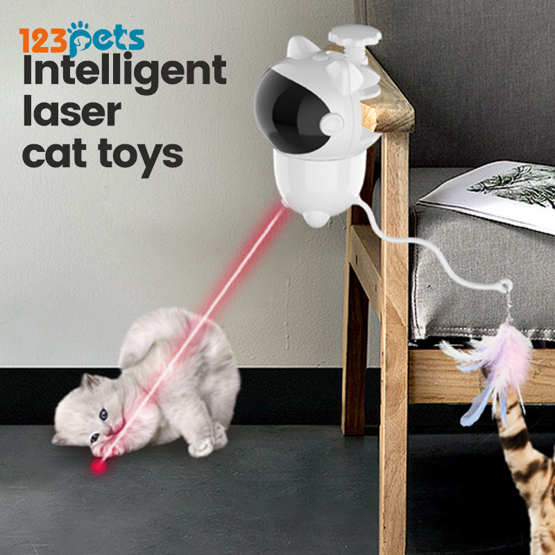 Rechargeable Electric Automatic Cat Chasing Lights Interactive Pet Laser Pointer Toy