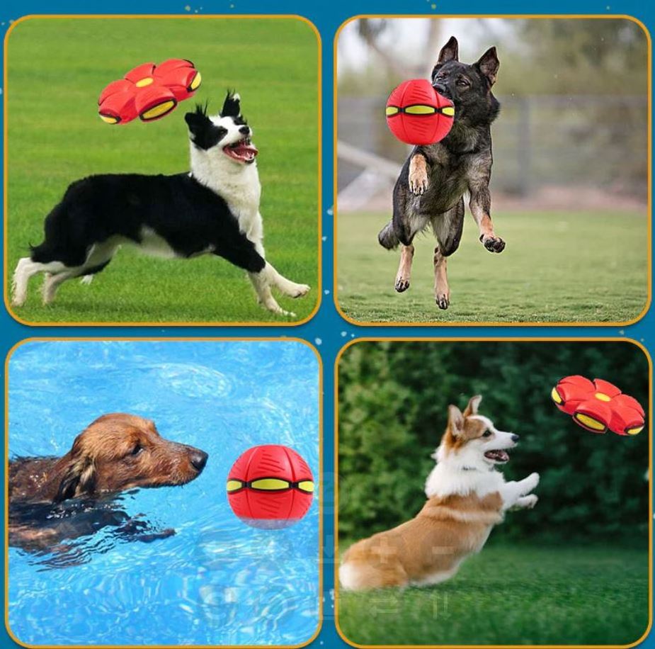 Hot Sale Outdoor Pet Toy Flying Saucer Ball Light On Foldable Untoxic Magic UFO Ball Flying Saucer Ball