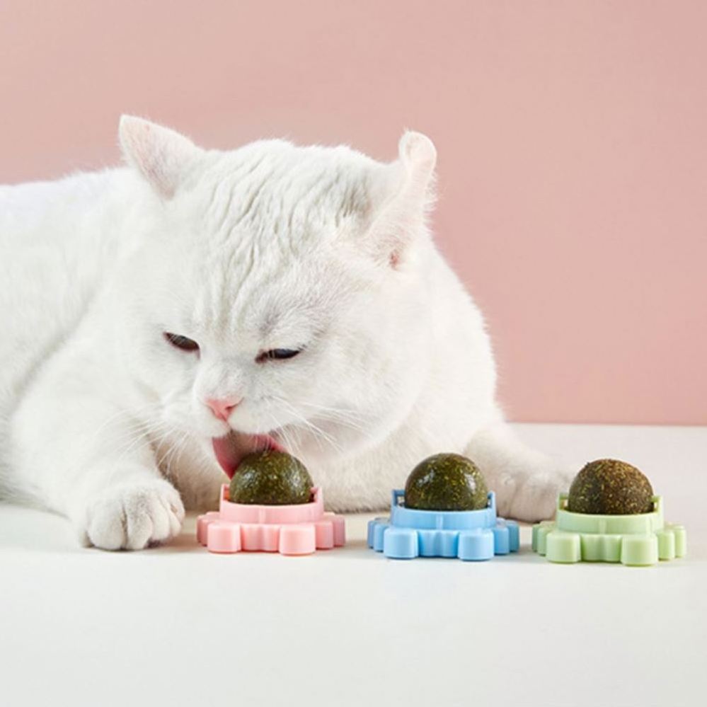 Pet Stuff Healthy Cat Catnip Toys Ball Candy Licking Snacks Catnip Snack Nutrition Energy Ball Kitten Cat Toy Cat Supplies