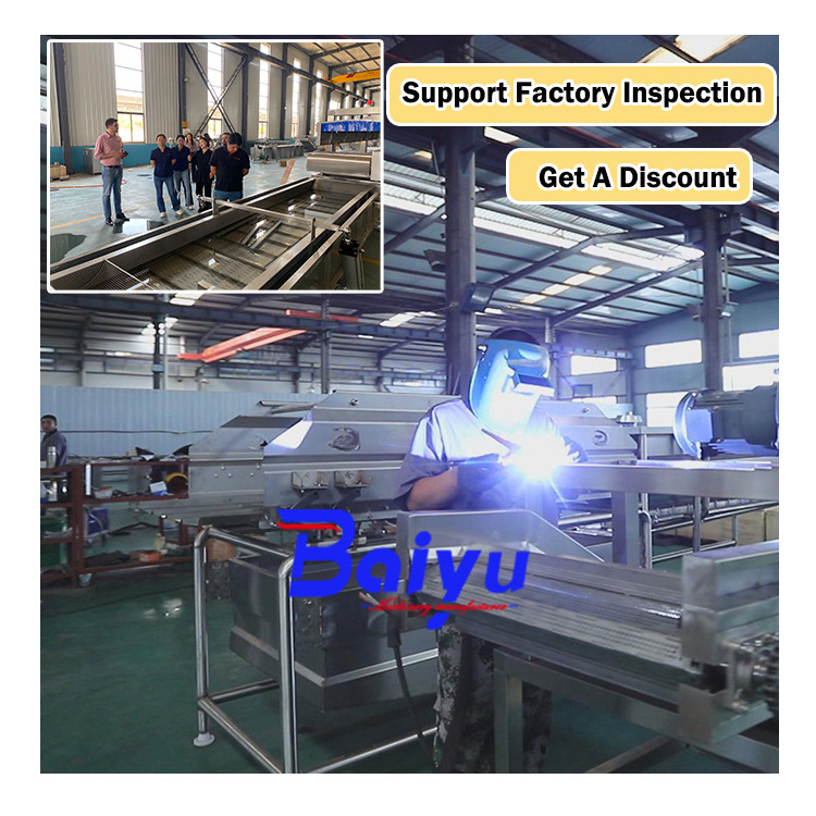 Baiyu CE 304 Electric Steam Fruit Vegetable Blanching Machine Mushroom Sea Cucumber Peach Green Beans Blanching Machine