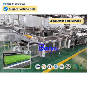 Baiyu CE 304 Electric Steam Fruit Vegetable Blanching Machine Mushroom Sea Cucumber Peach Green Beans Blanching Machine