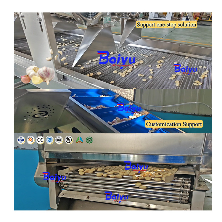 Baiyu Electric Garlic Processing Machine Use Garlic Breaking Peeling and Powder Production Line