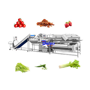 Baiyu Customizable Eddy Current Automatic High Pressure Fruit Vortex Washing Machine for Food Factory on Fruits Vegetables Corn