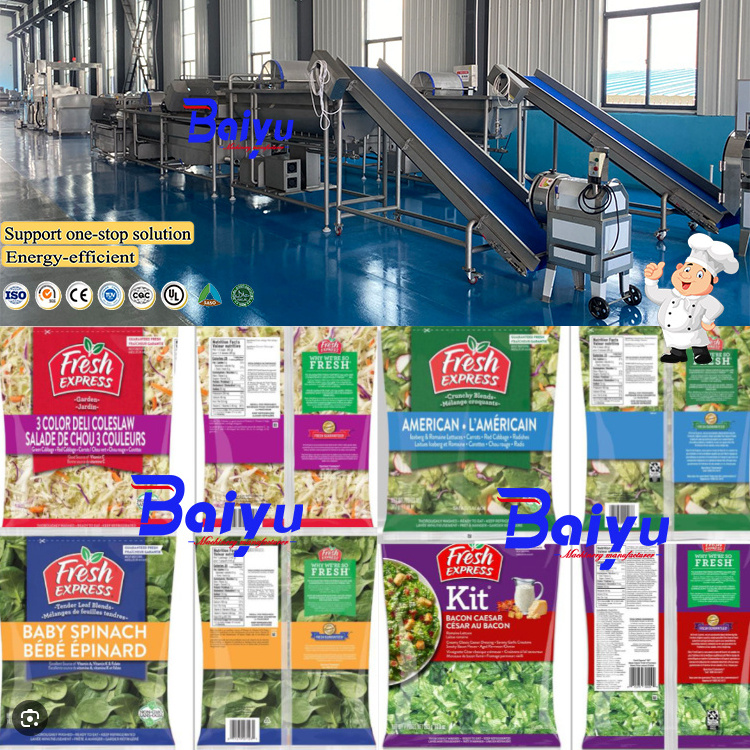 Baiyu Production Line for Fruit & Vegetable Processing Salad Washing Machine for Vegetables & Salad