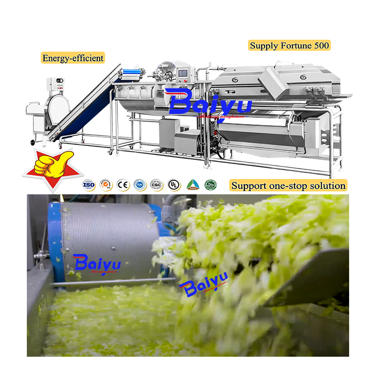 Baiyu Production Line for Fruit & Vegetable Processing Salad Washing Machine for Vegetables & Salad