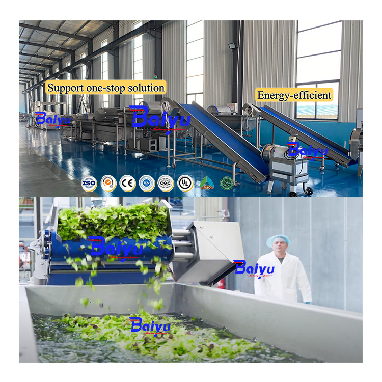 Baiyu Production Line for Fruit & Vegetable Processing Salad Washing Machine for Vegetables & Salad