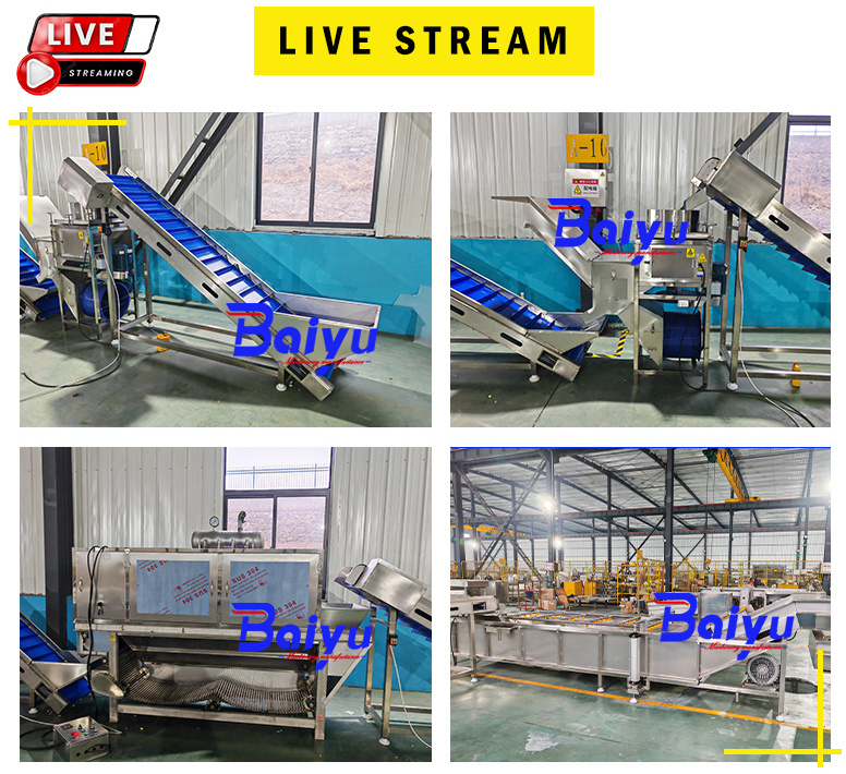 Baiyu Electric Garlic Processing Machine Use Garlic Breaking Peeling and Powder Production Line