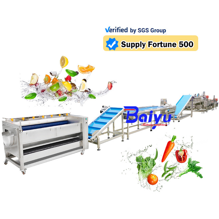 Spinach Vegetable Washing Processing Line Carrot Tomato Lettuce Parsley Fruits And Vegetables Bubble Cleaning Machines For sale