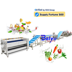 Spinach Vegetable Washing Processing Line Carrot Tomato Lettuce Parsley Fruits And Vegetables Bubble Cleaning Machines For sale