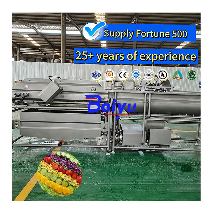 Baiyu Production Line for Fruit & Vegetable Processing Salad Washing Machine for Vegetables & Salad