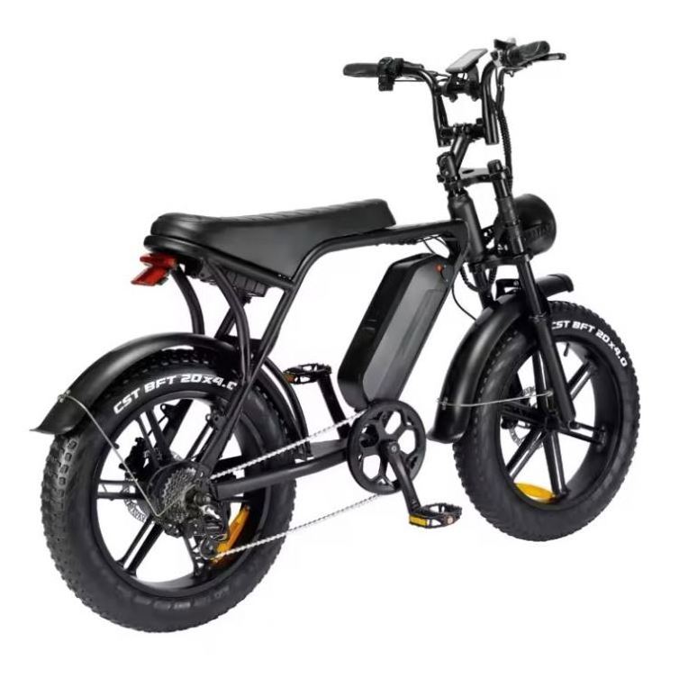 long range electric bike  pro v8 version 2.0 3.0 bicycle electric bike ebike mtb 500w 1000w 2000w