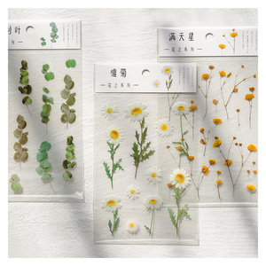 Cute Natural Plant flowers Transparent PET Material  Leaves Deco Stickers for Diary, Journal, Scrapbook