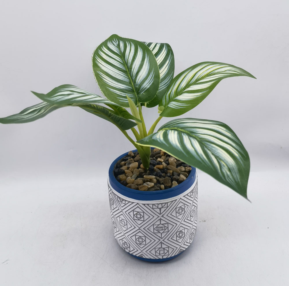 Ceramic Indoor decorations Flower Planter Ceramic Flower Pot Plant Pots for Placing dirt to grow plants