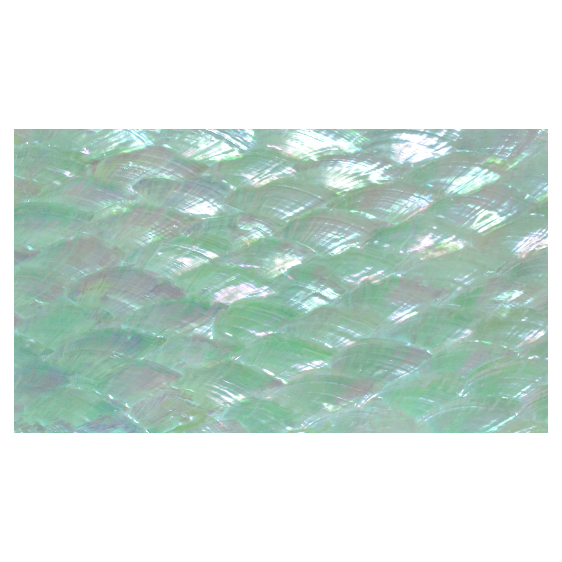 Wholesale Customizable sea shell sheet natural new zealand paua abalone shell paper DB-044