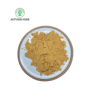 Autumn Herb St. John's Wort Extract 0.3% Hypericin Powder