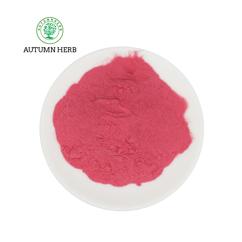 Autumn Herb Natural Fruit Juice Powder Acai Berry Powder