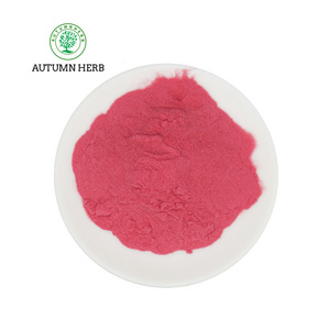 Autumn Herb Natural Fruit Juice Powder Acai Berry Powder