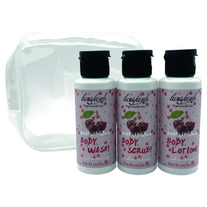 Travel Size Cherry Essence Fruit Bath and Body Works Shower Set Vegan Bath Cleansing Organic Exfoliating Body Scrub And Lotion