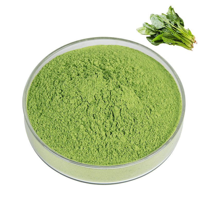 Natural Dehydrated Spinacia oleracea powder Spinach Juice Powder