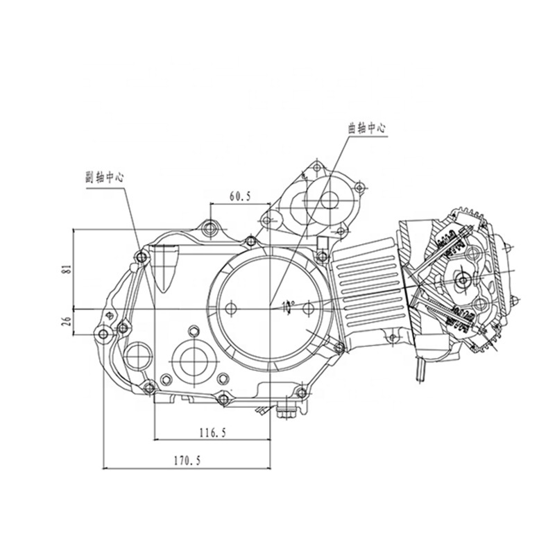 CQJB 110cc pocket bike engine 250cc engine complete 125cc