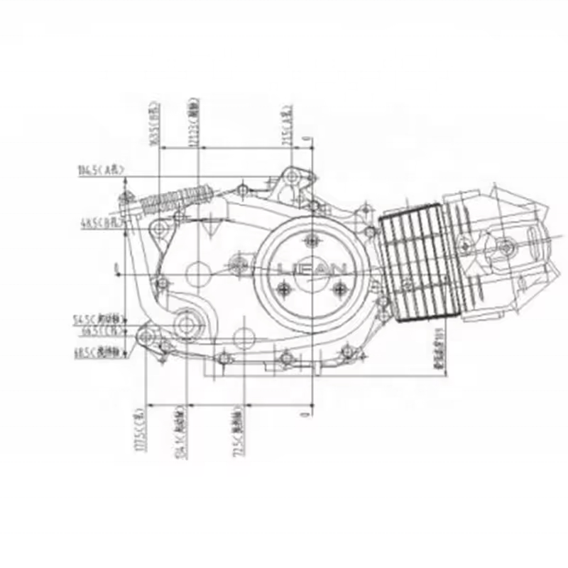 CQJB lifan 125cc vertical LF1P52FMI-F motorcycle engine