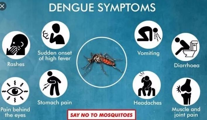 Infectious Disease Rapid Test Kits Hbsag/hcv/hav/malaria/dengue/tb/h.pylori Rapid Test Strip and Card CE Science Project Kit IVD