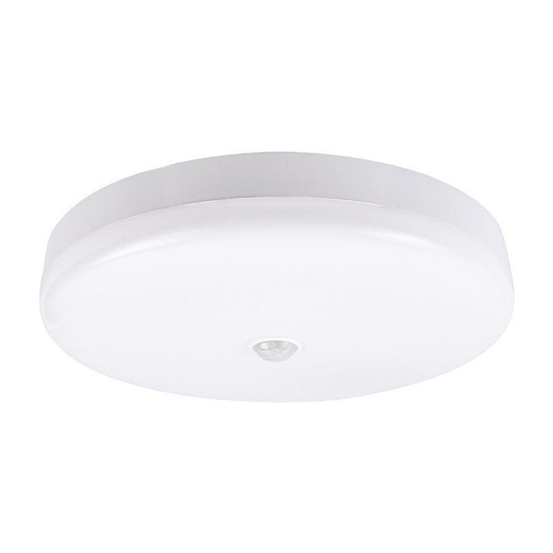 Modern LED Ceiling Lights 12W 18W Smart PIR Motion Sensor Night Light 220V Round Ceiling Lamps for Living Room Stair Corridor