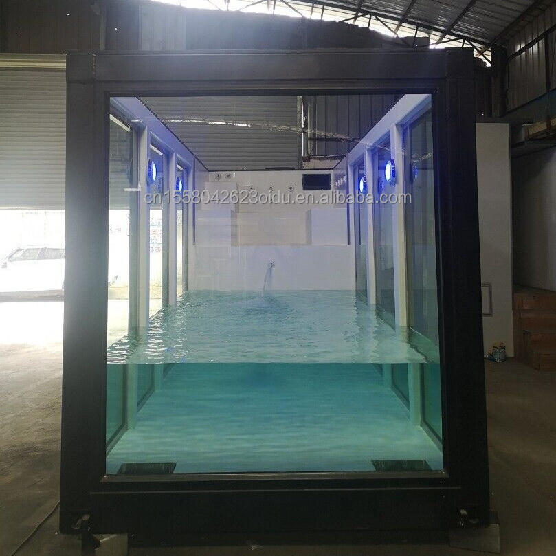 Custom Made Movable Prefab Modular Container Swimming Pool for garden