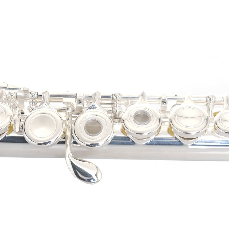 Flute Instrument Copper Wholesale Flute Open and Closed Hole Dual Use 17 Hole C Tune White Plated Silver OEM Key 16 700mm CN;TIA