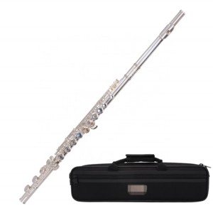 Flute Instrument Copper Wholesale Flute Open and Closed Hole Dual Use 17 Hole C Tune White Plated Silver OEM Key 16 700mm CN;TIA